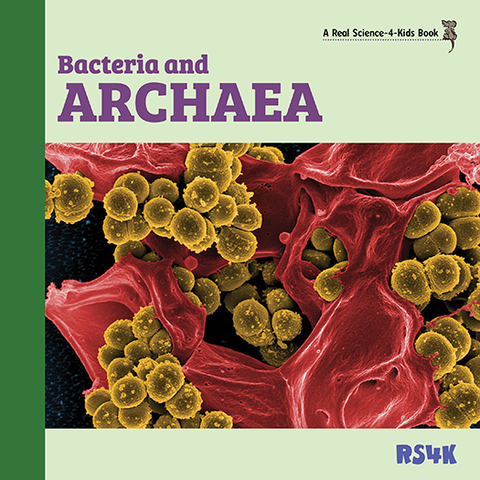 Science Literacy Bundle 4