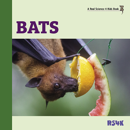 Science Literacy Bundle 3