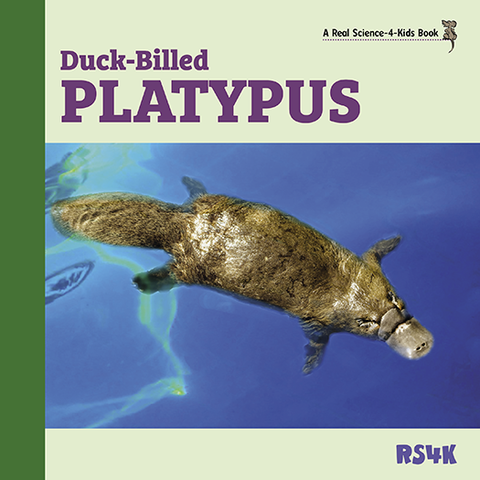 Science Literacy Bundle 4