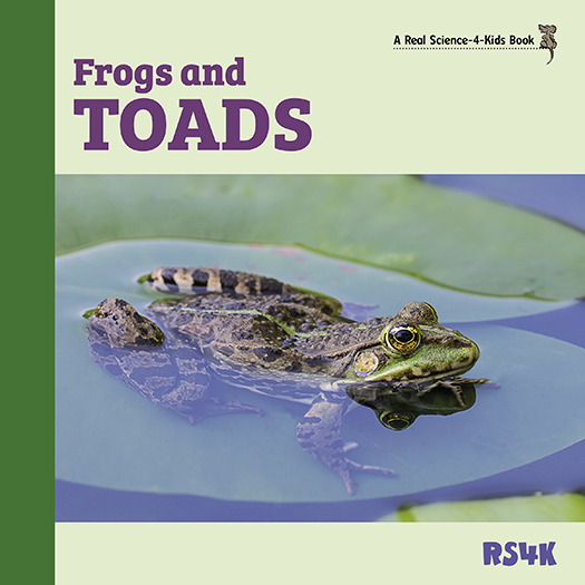 Science Literacy Bundle 3
