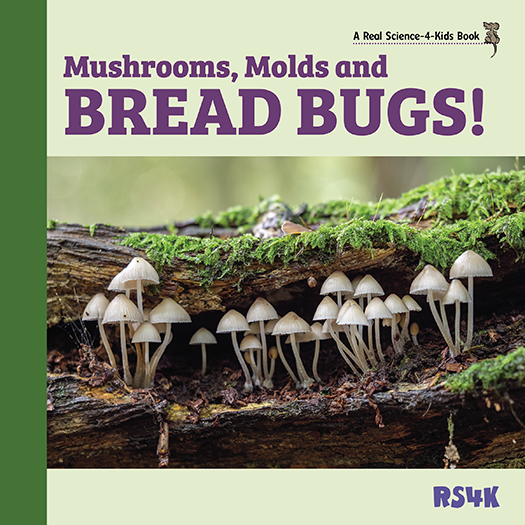 Science Literacy Bundle 3