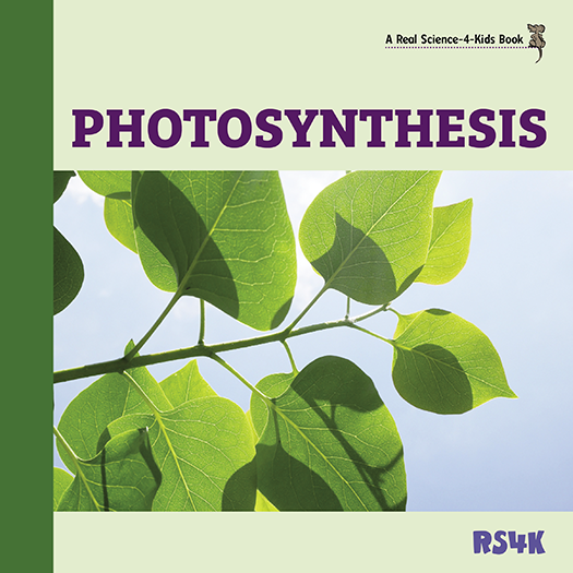 Science Literacy Bundle 4
