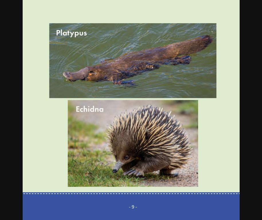 RS4K Reader Library