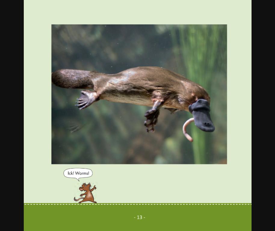 RS4K Reader Library