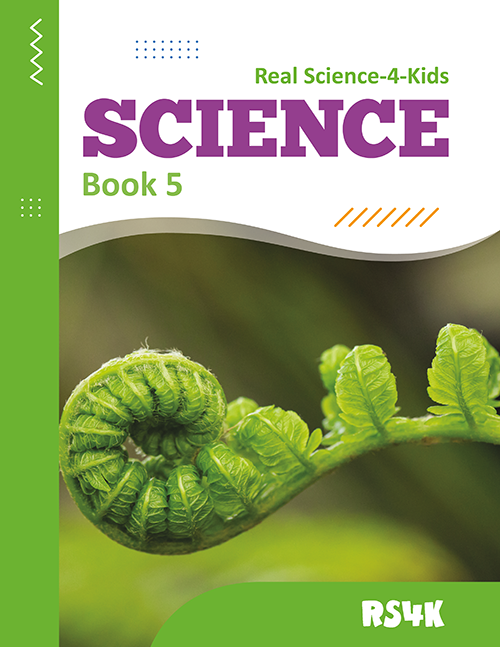 Science Book 5: The Year Science Starts Making Sense