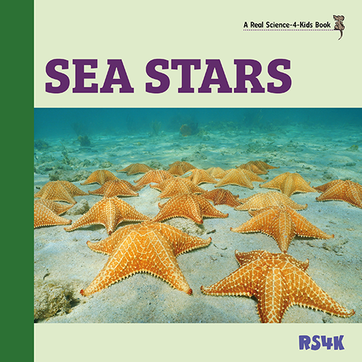 Science Literacy Bundle 4