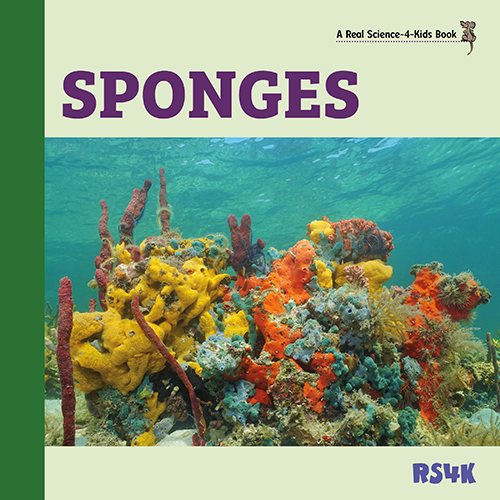 Science Literacy Bundle 2