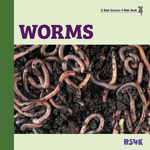 Science Literacy Bundle 3